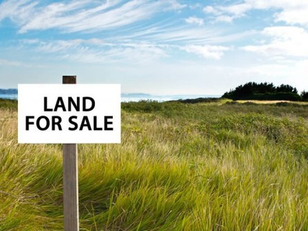 Land for Sale - 503,496 Listings - LandWatch